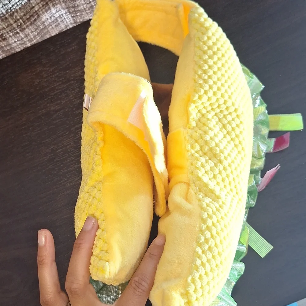 Taco Pet Costume